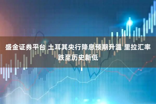 盛金证券平台 土耳其央行降息预期升温 里拉汇率跌至历史新低