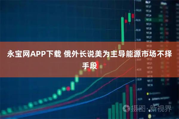 永宝网APP下载 俄外长说美为主导能源市场不择手段