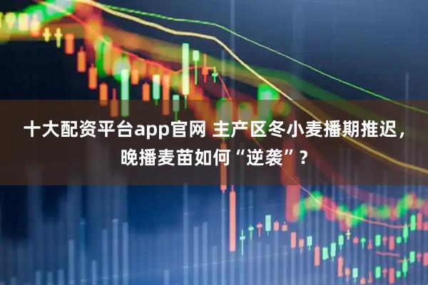 十大配资平台app官网 主产区冬小麦播期推迟，晚播麦苗如何“逆袭”？